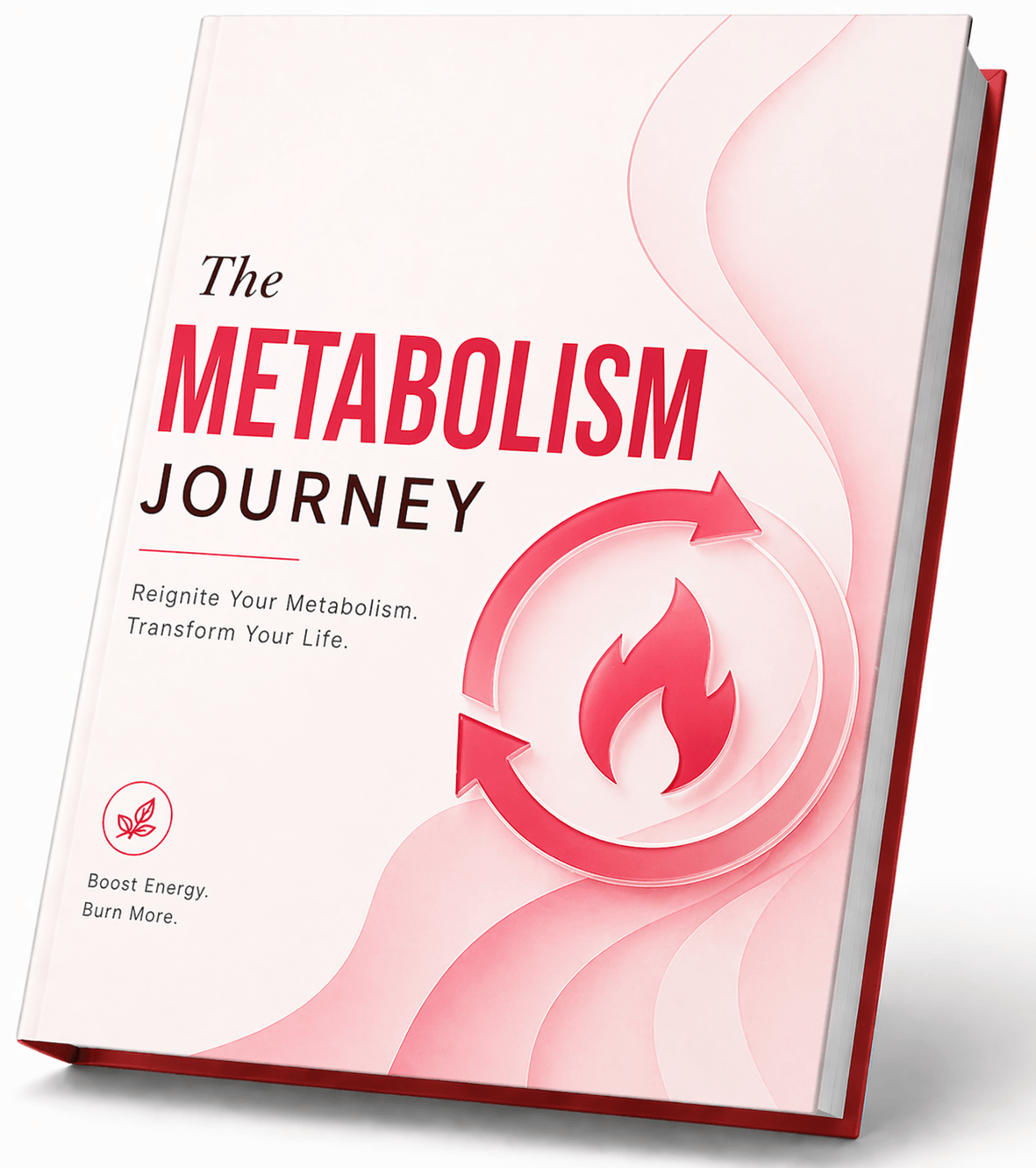 JellyThin bonus The Metabolism Journey ebook